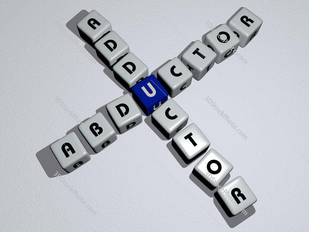 abductor adductor crossword by cubic dice letters