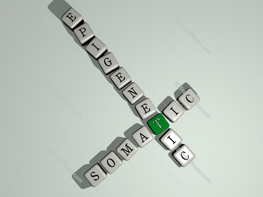 somatic epigenetic crossword by cubic dice letters