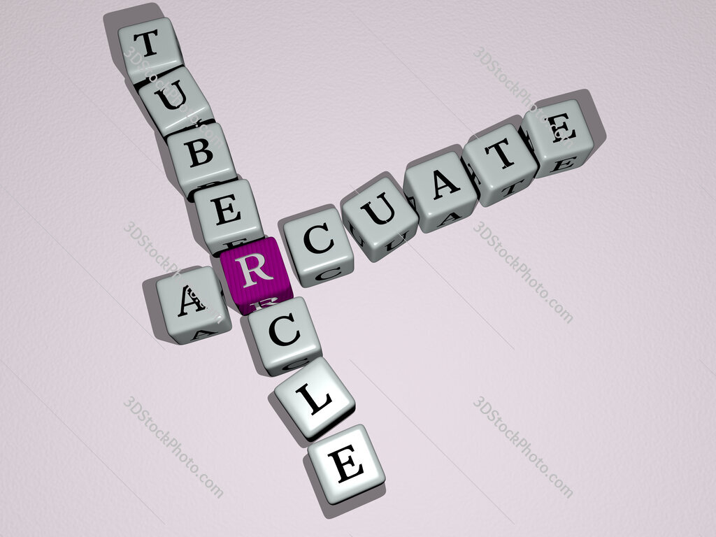 arcuate tubercle crossword by cubic dice letters