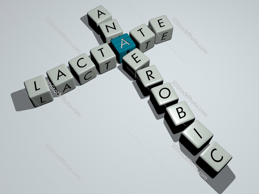 lactate anaerobic crossword by cubic dice letters