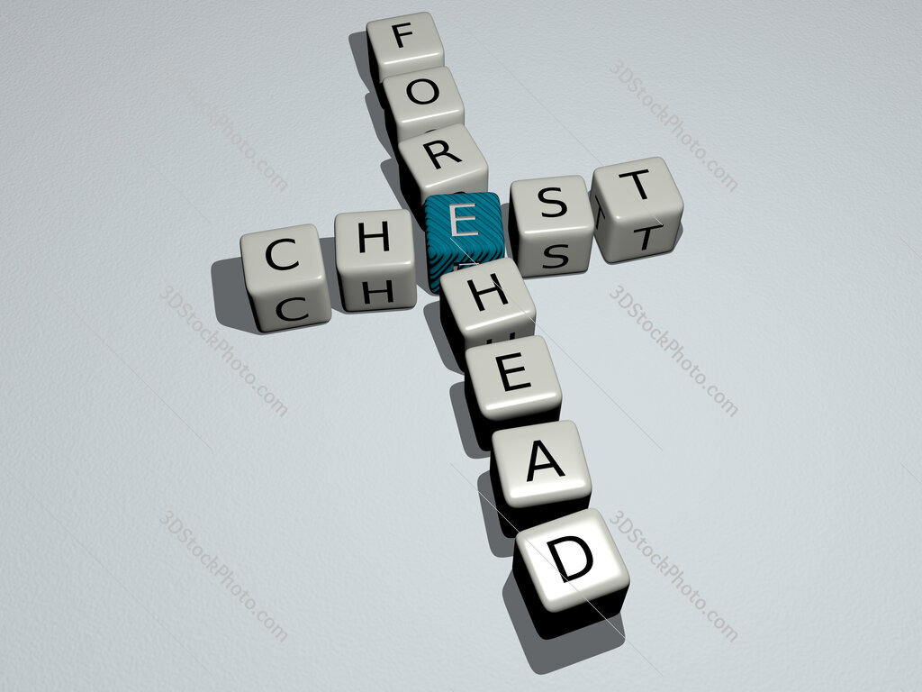 chest forehead crossword by cubic dice letters