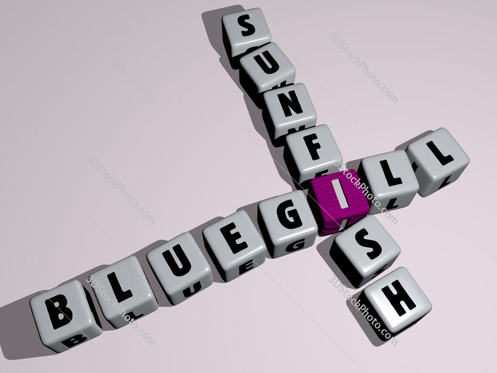 bluegill sunfish crossword by cubic dice letters