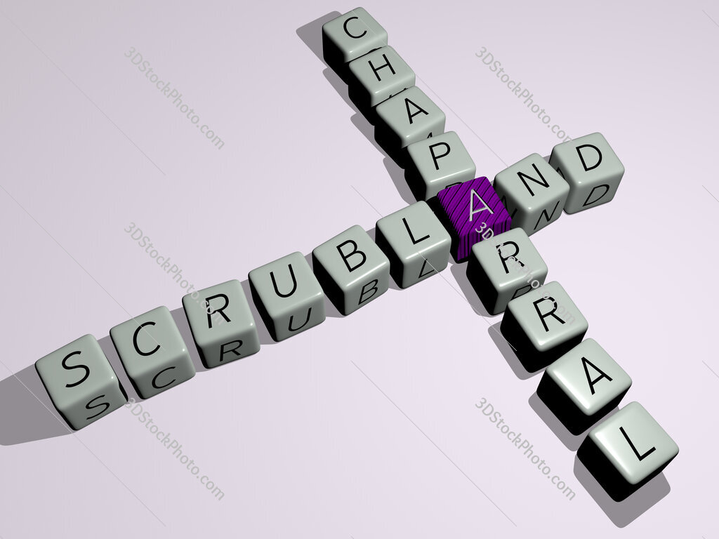 scrubland chaparral crossword by cubic dice letters