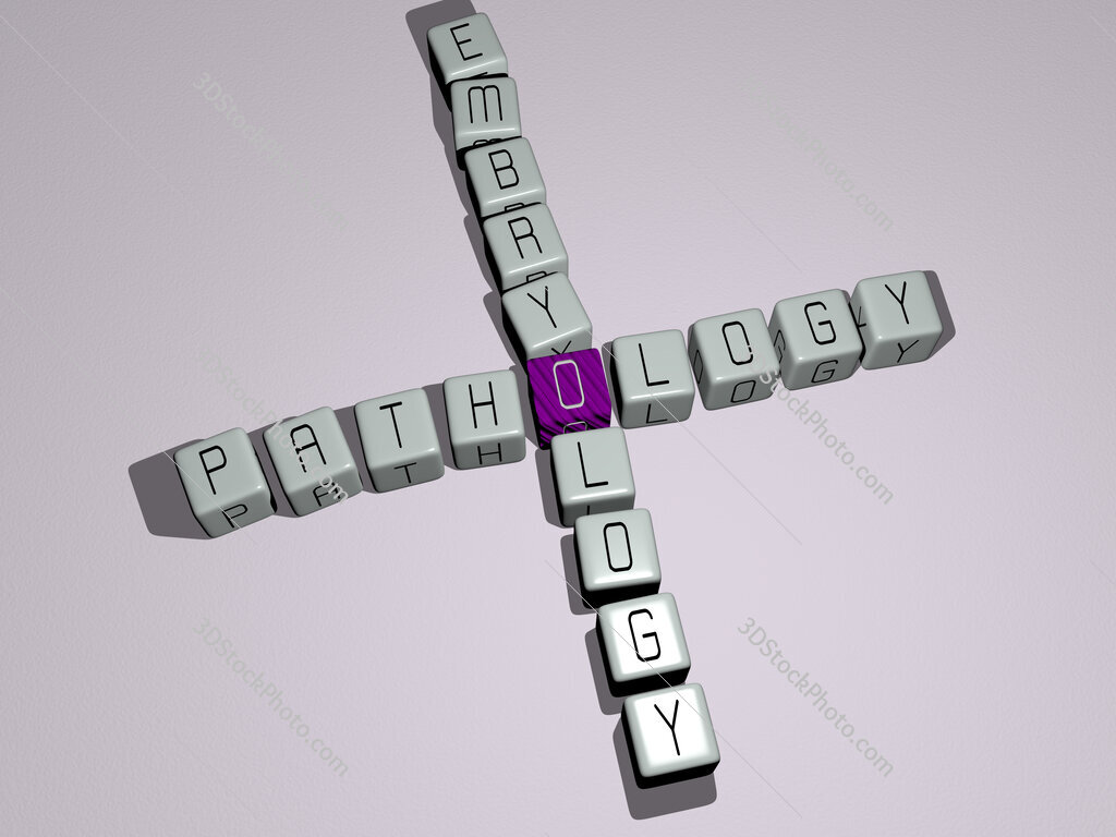 pathology embryology crossword by cubic dice letters