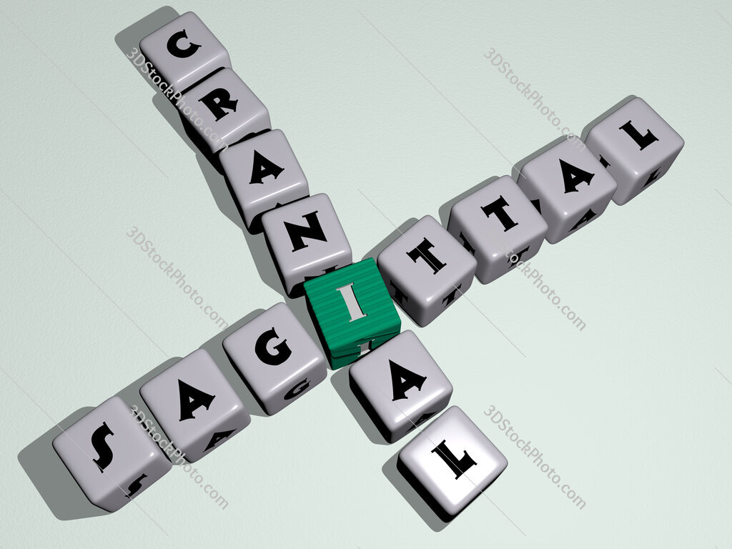 sagittal cranial crossword by cubic dice letters
