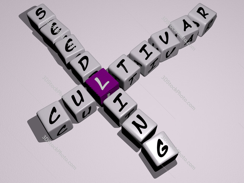cultivar seedling crossword by cubic dice letters