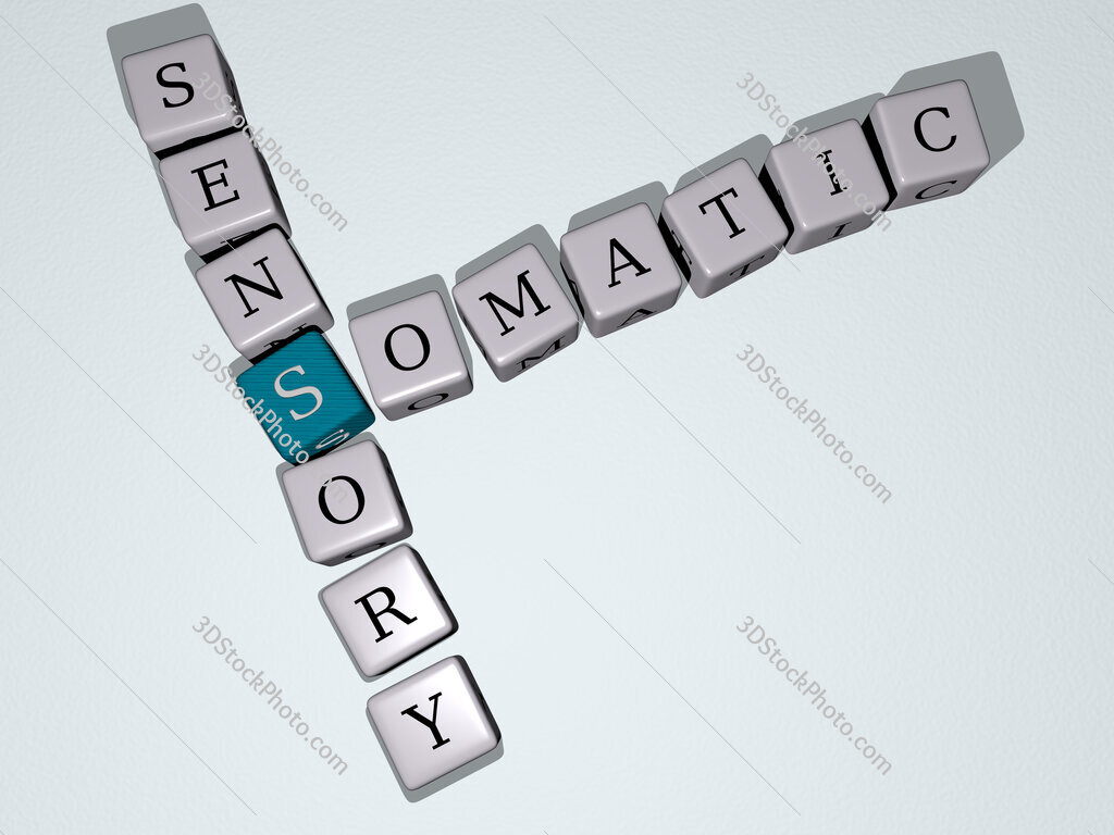 somatic sensory crossword by cubic dice letters