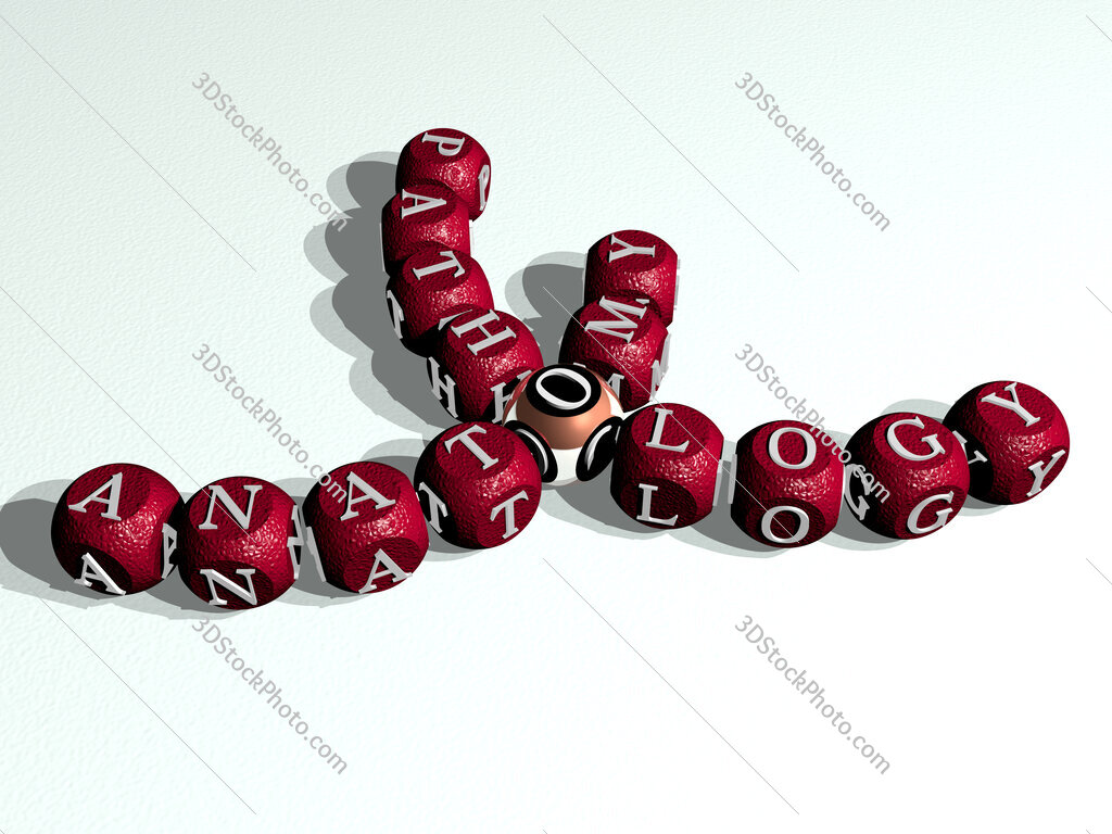 anatomy pathology curved crossword of cubic dice letters