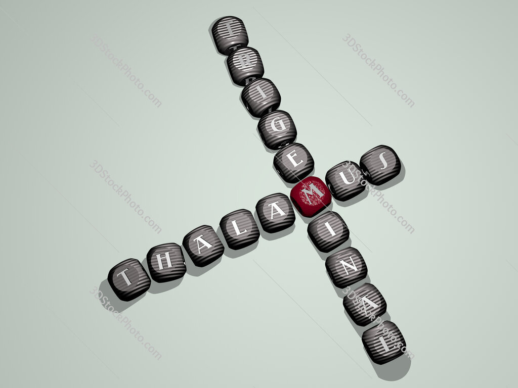 thalamus trigeminal crossword of dice letters in color