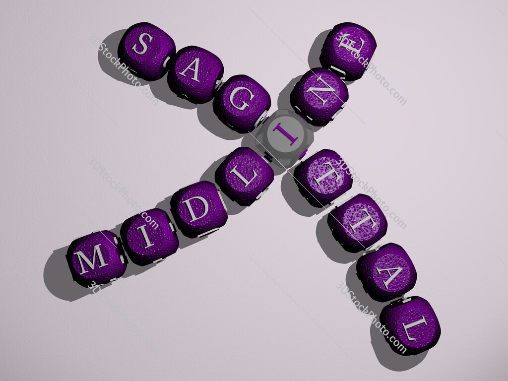 midline sagittal crossword of curved text made of individual letters