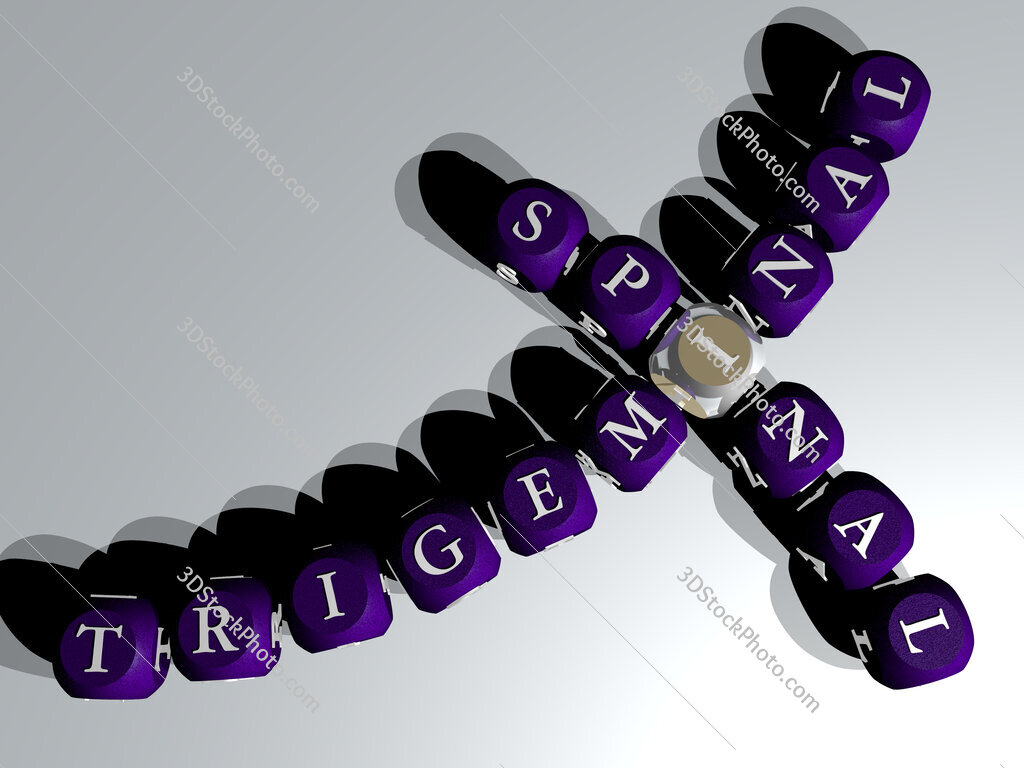 trigeminal spinal 