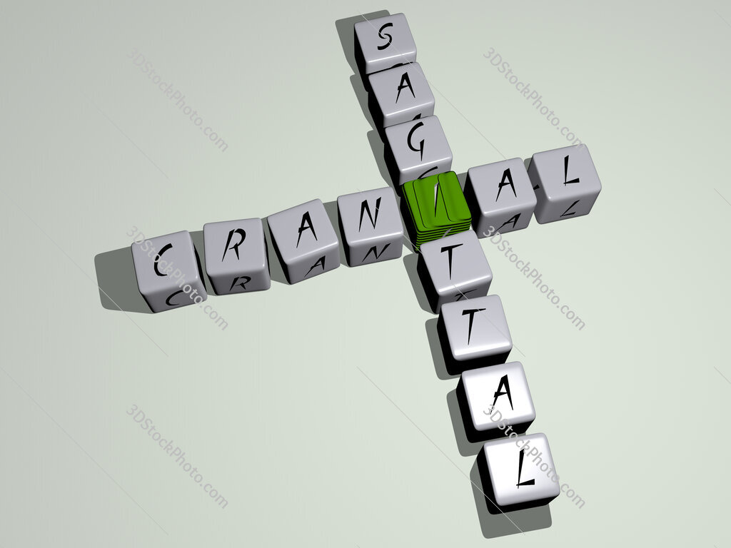 cranial sagittal crossword by cubic dice letters