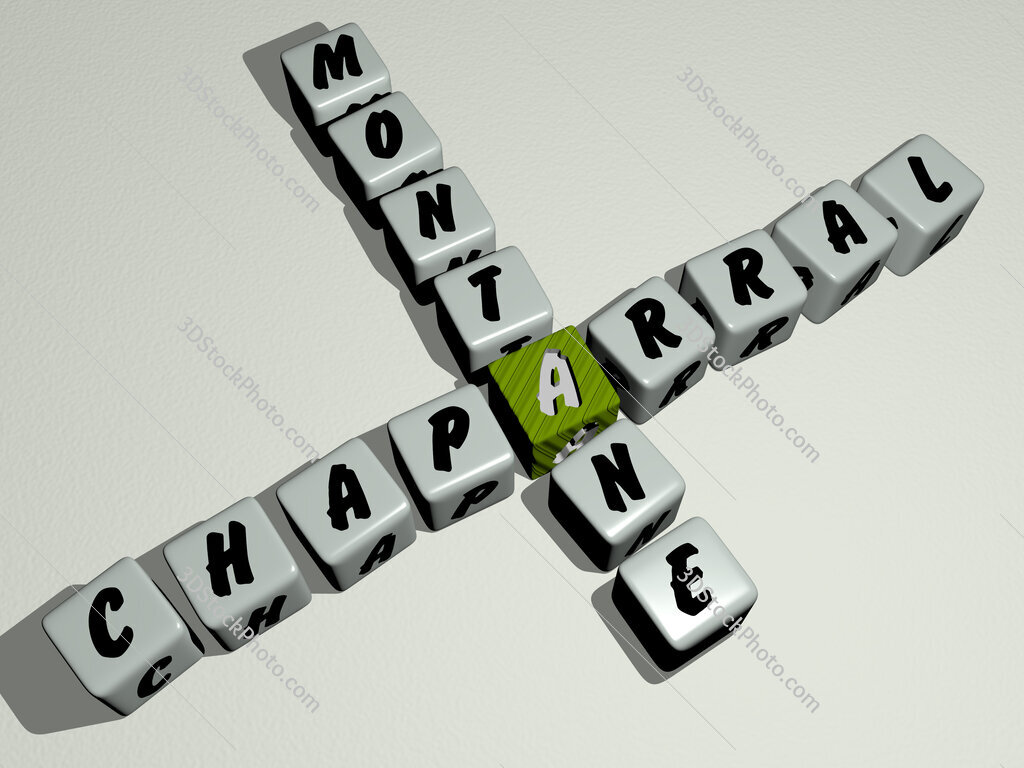chaparral montane crossword by cubic dice letters