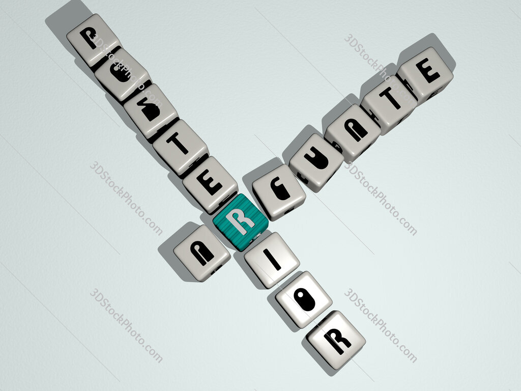 arcuate posterior crossword by cubic dice letters