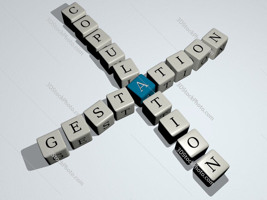 gestation copulation crossword by cubic dice letters