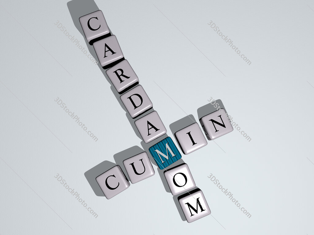 cumin cardamom crossword by cubic dice letters