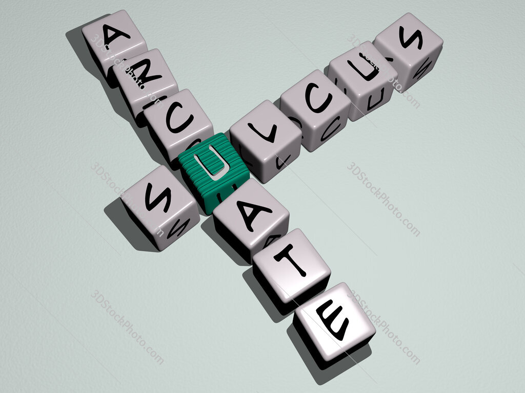 sulcus arcuate crossword by cubic dice letters