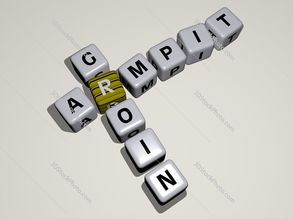 armpit groin crossword by cubic dice letters