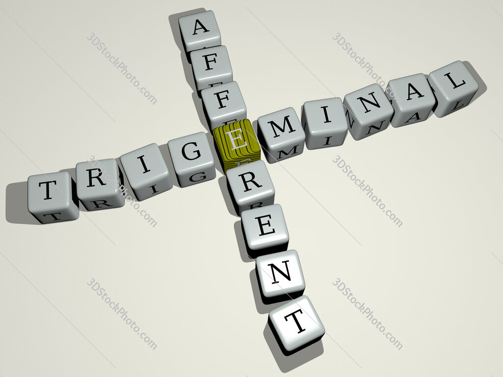 trigeminal afferent crossword by cubic dice letters