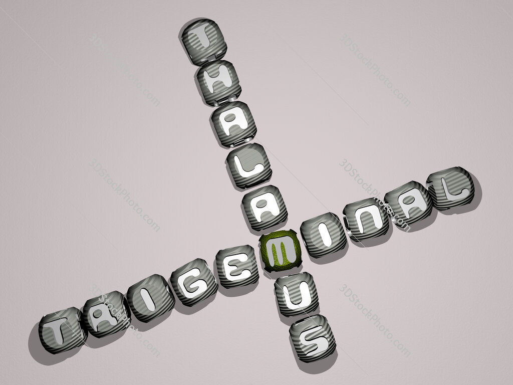 trigeminal thalamus crossword of dice letters in color