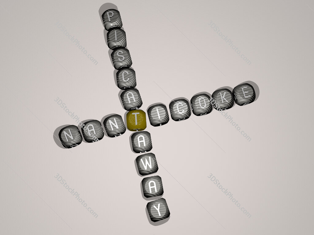 nanticoke piscataway crossword of dice letters in color