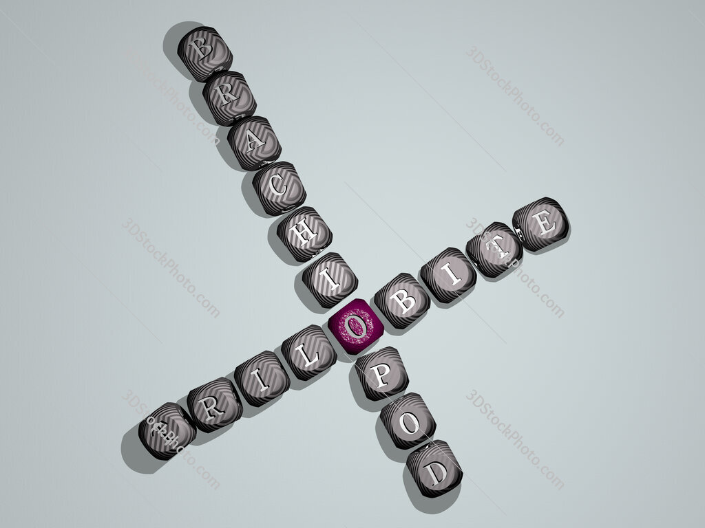 trilobite brachiopod crossword of dice letters in color