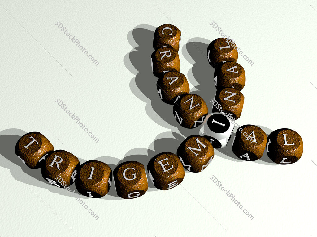 trigeminal cranial curved crossword of cubic dice letters