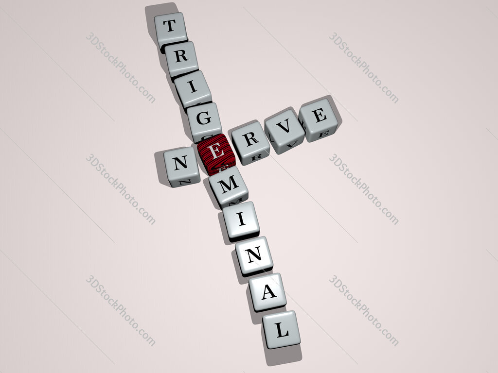 nerve trigeminal crossword by cubic dice letters