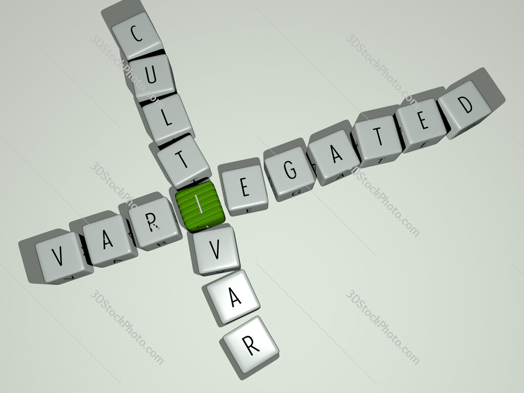 variegated cultivar crossword by cubic dice letters