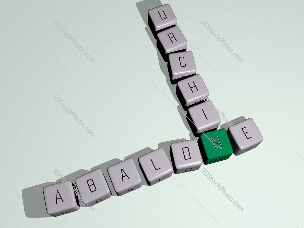 abalone urchin crossword by cubic dice letters