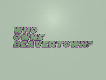 Who owns the Chicago Bears?