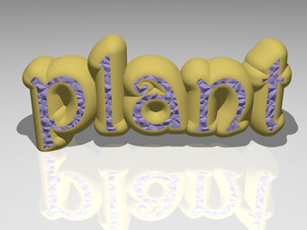 plant