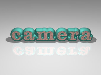 camera