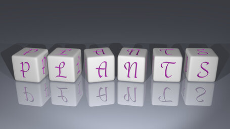 Plants