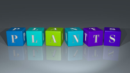 Plants