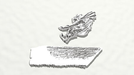 athletic sport activity