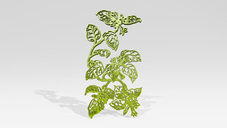 plant