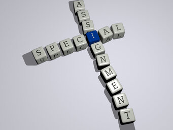 special assignment