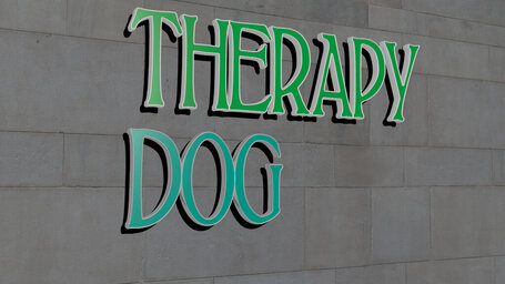What is the difference between a service dog and a therapy dog?