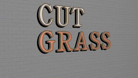 Should you cut heatwave grass?