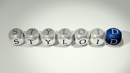styloid