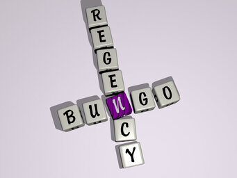 Bungo Regency