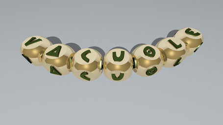 vacuole