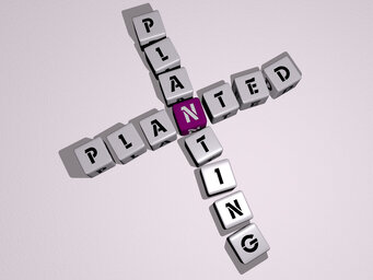 planted planting
