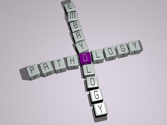 pathology embryology