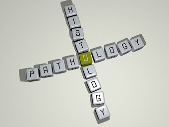 pathology histology