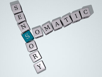 somatic sensory