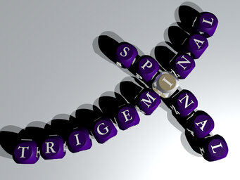 trigeminal spinal