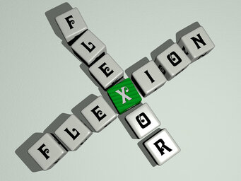 flexion flexor
