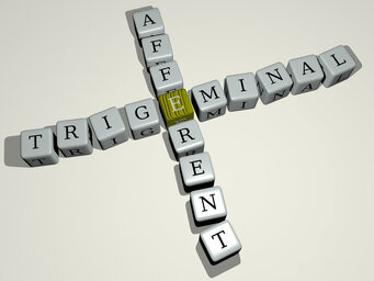 trigeminal afferent